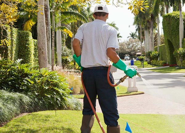 About Celeste TX Pest Control Pros